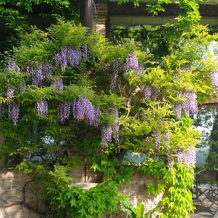 La Casa Sopra Le Nuvole Villa Medesano Buitenkant foto
