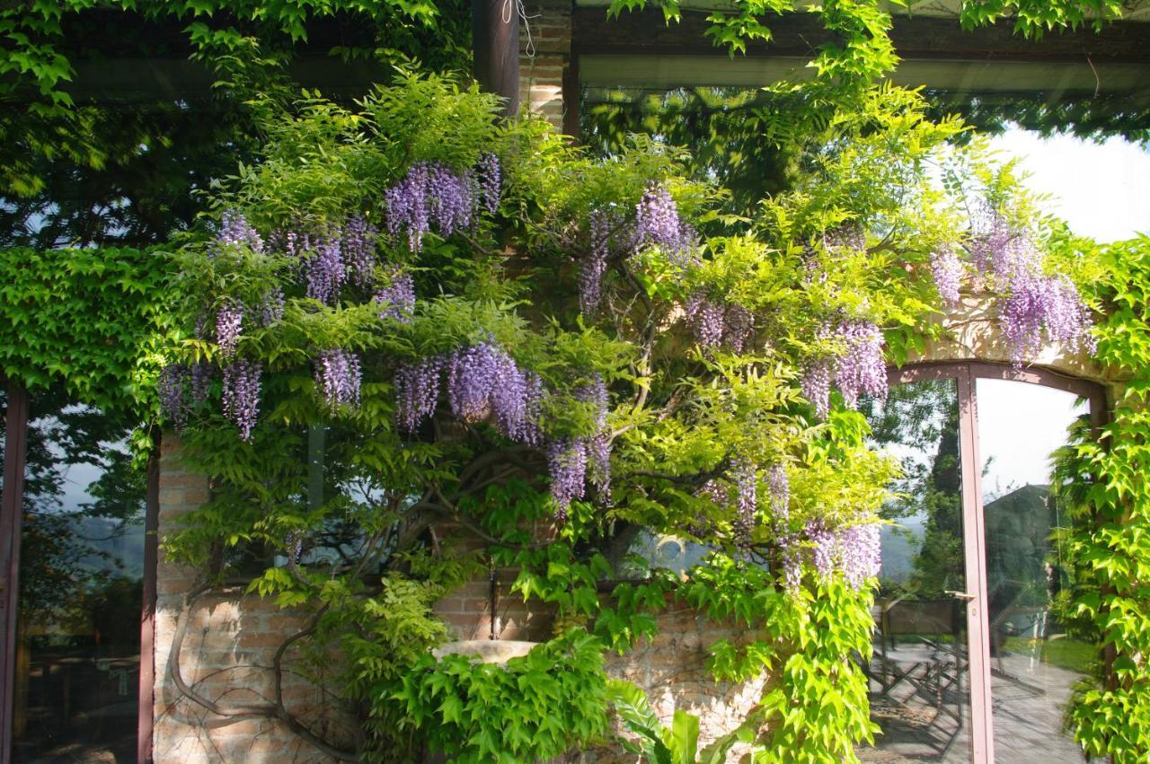 La Casa Sopra Le Nuvole Villa Medesano Buitenkant foto